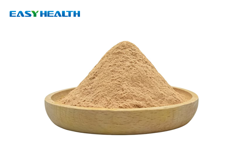 Ginseng Panax Extract Powder